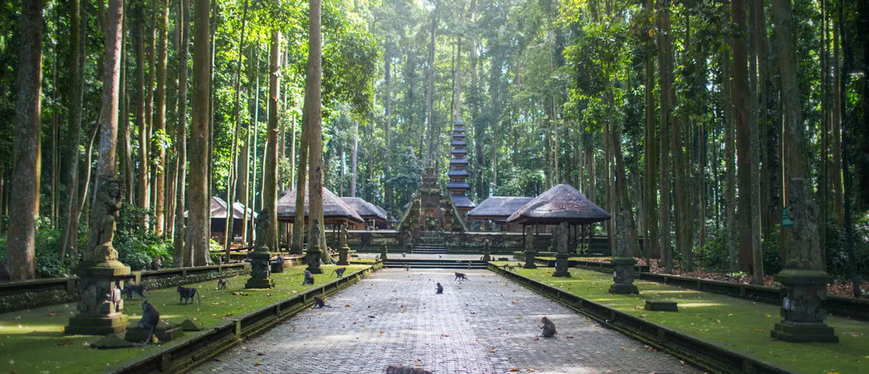 Monkeys on a stone path leading to an ancient temple in Ubud's lush Sacred Monkey Forest.