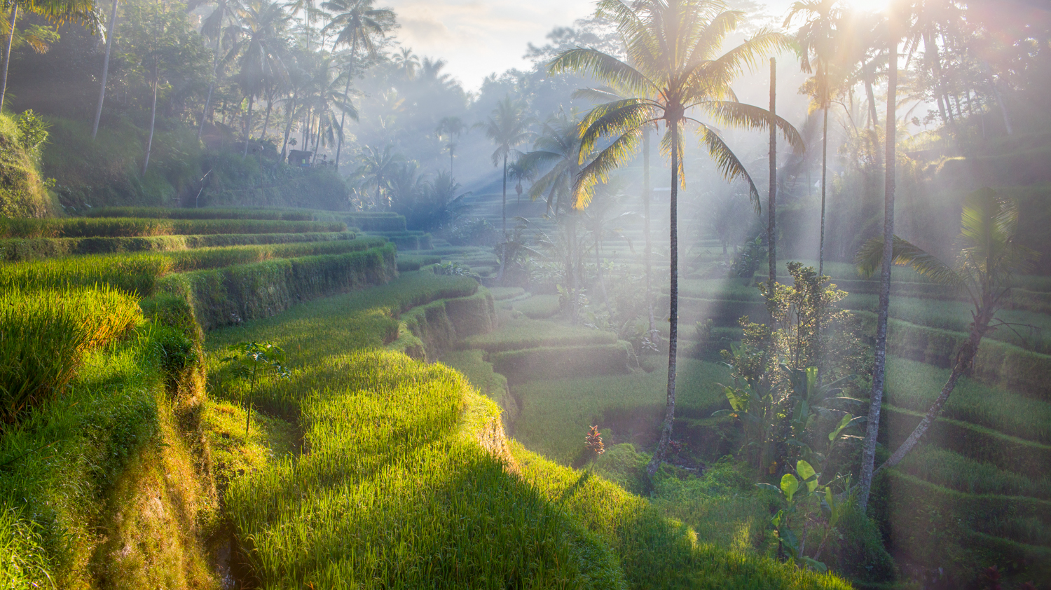 Explore Bali