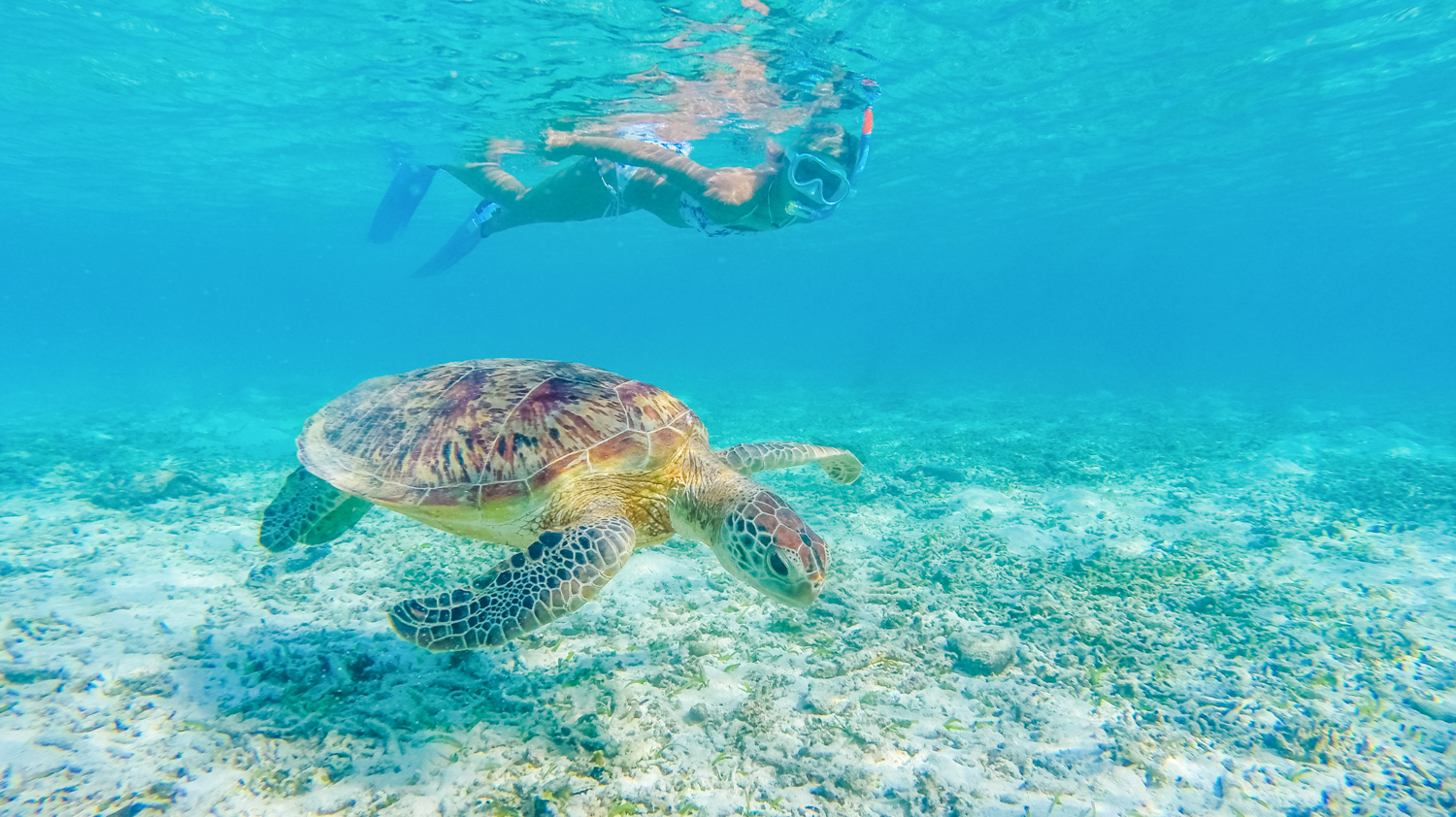 Bali: Island Paradise