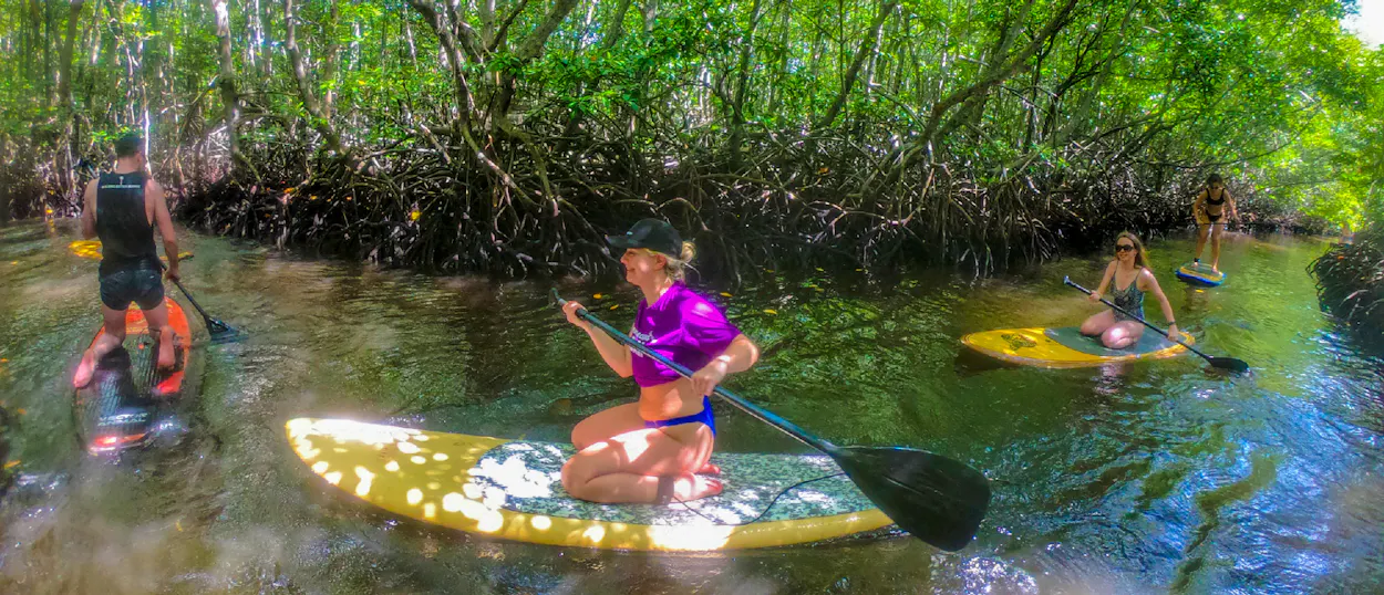People paddleboarding through lush green mangrove forests on calm waters in Nusa Lembongan.