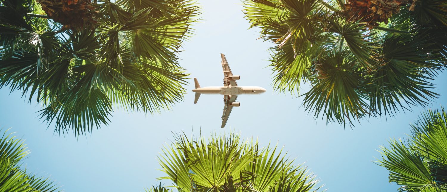 Airplane flying over palm trees under a bright blue sky, departing Bali.