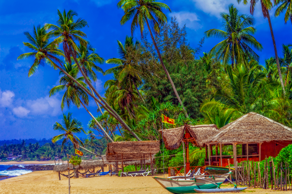 Tropical beach paradise in Weligama with palm trees, rustic huts, and boats on the golden sand.