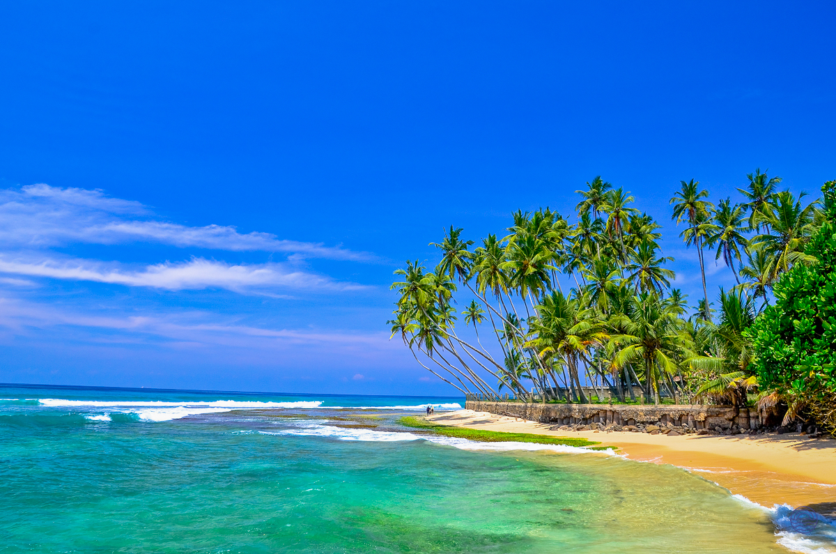 Idyllic golden beach in Weligama with turquoise waves and leaning palm trees under a bright blue sky.