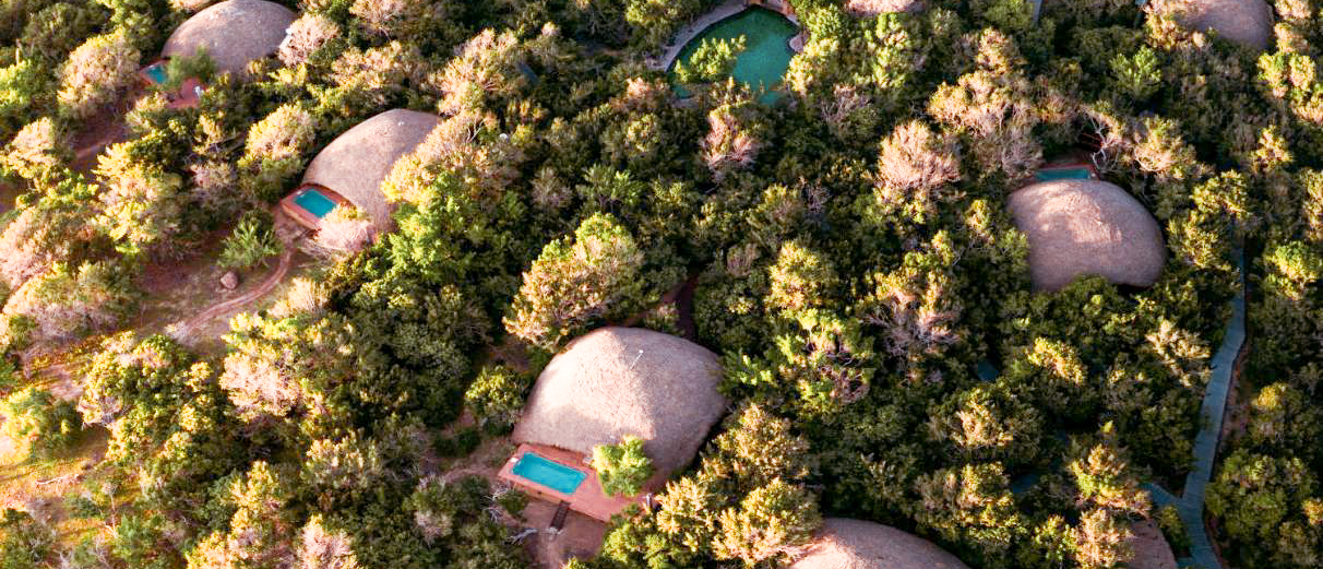 Aerial view of luxury dome-shaped cabins with private plunge pools nestled in dense Yala wilderness.
