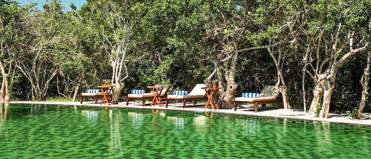 Serene green swimming pool with comfortable lounge chairs surrounded by lush tropical trees in Yala National Park.