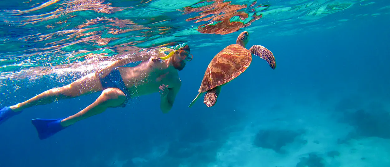 Man snorkeling with a sea turtle in the clear blue ocean waters of Weligama.
