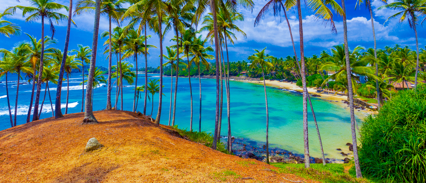 Mirissa's Coconut Tree Hill with vibrant palm trees overlooking a stunning turquoise bay and sandy beach.