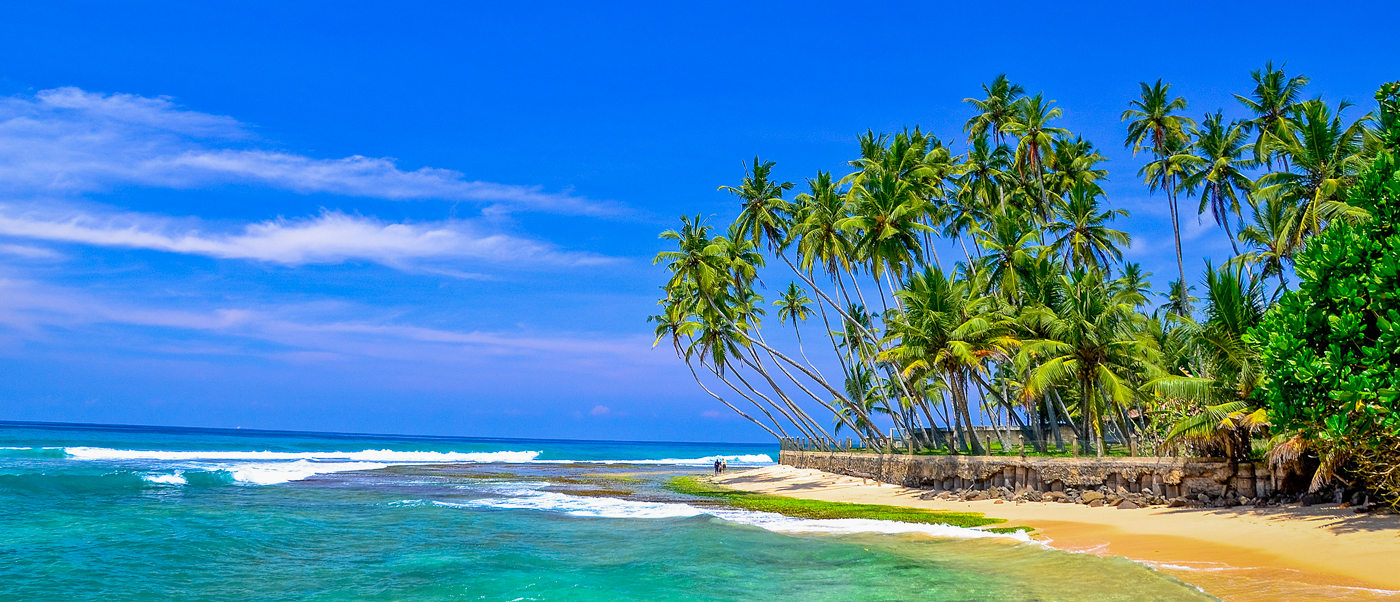 Weligama beach features golden sand, gentle turquoise waves, and numerous palm trees under a sunny sky.