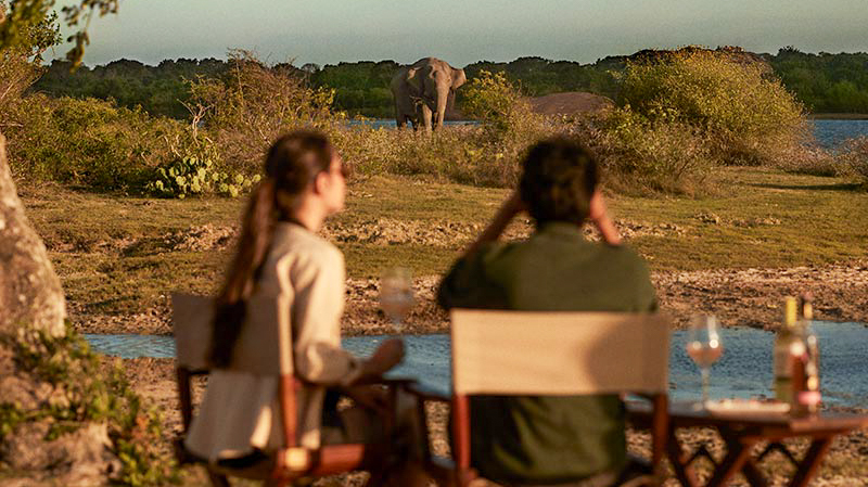 A couple relaxes with drinks, observing elephants in the scenic Yala National Park, Sri Lanka.