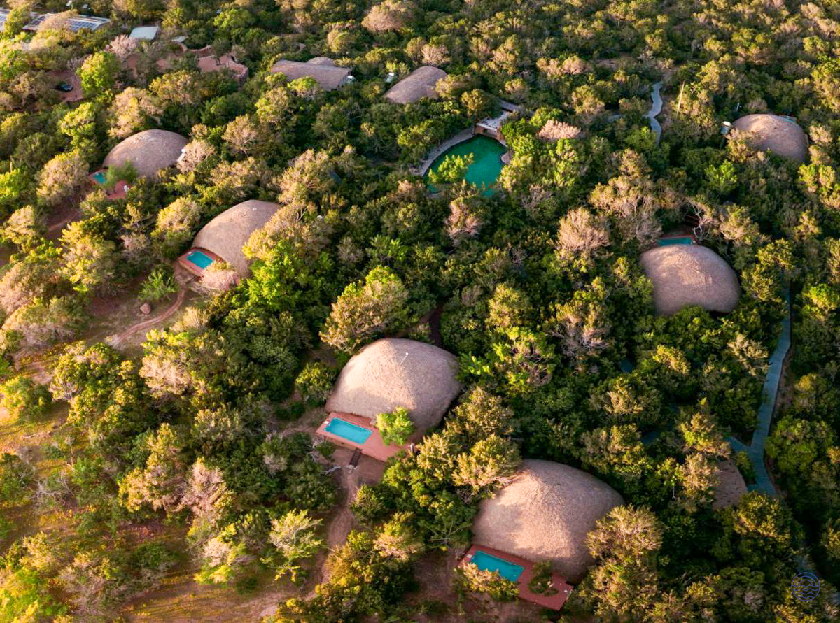Thatched luxury huts with private pools blend into the vibrant green forest of Yala National Park.