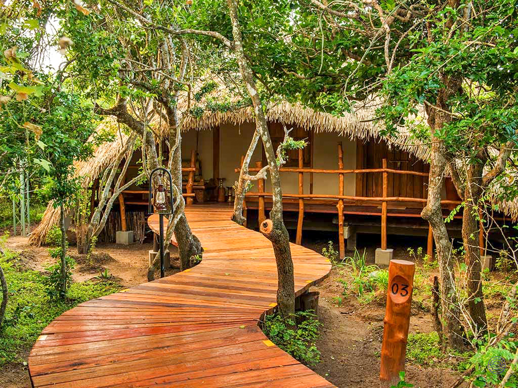 A winding wooden boardwalk leads to a luxurious thatched-roof cabin surrounded by lush trees in Yala National Park.
