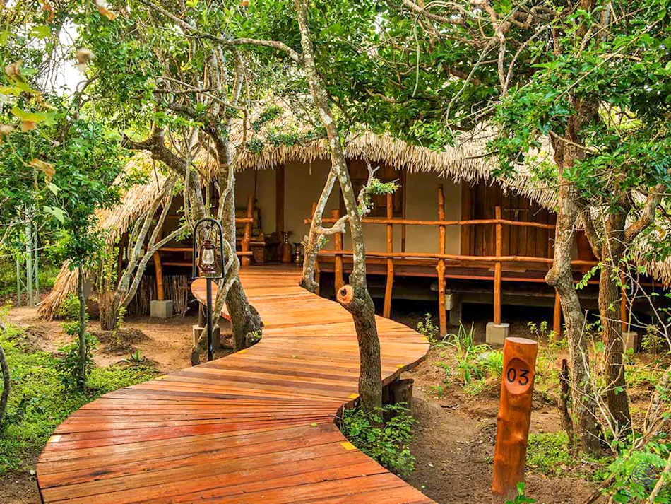 A winding wooden boardwalk leads to a luxury thatched-roof cabin at Uga Chena Huts, Yala.