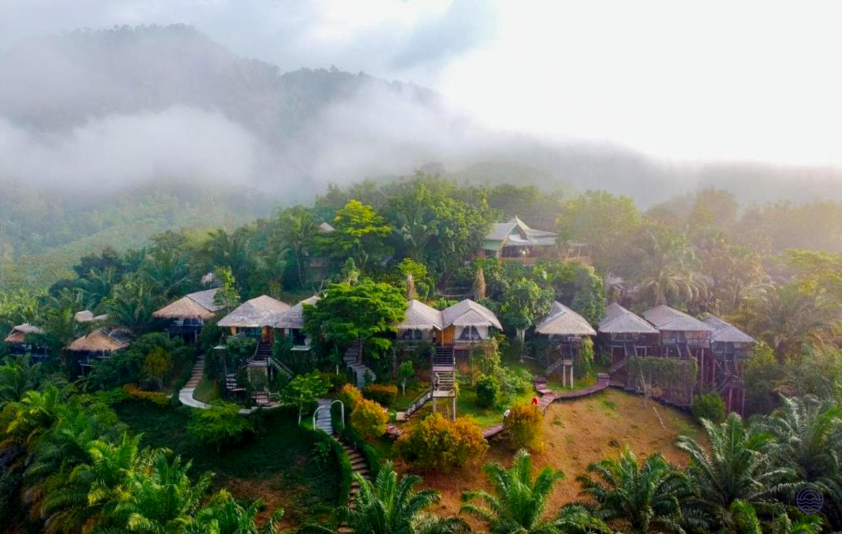Charming thatched-roof bungalows nestled within the lush, misty rainforests of Khao Sok National Park.