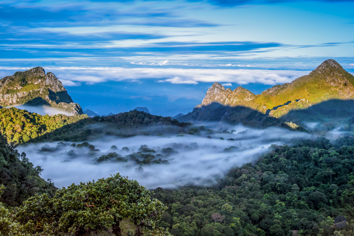 Breathtaking view of mist-shrouded peaks and lush forests in the Chiang Dao mountains near Chiang Mai.
