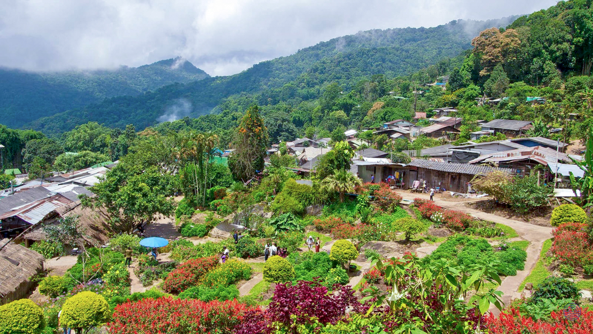 A charming Hmong village in Chiang Mai, nestled amidst lush green mountains and vibrant flower gardens.