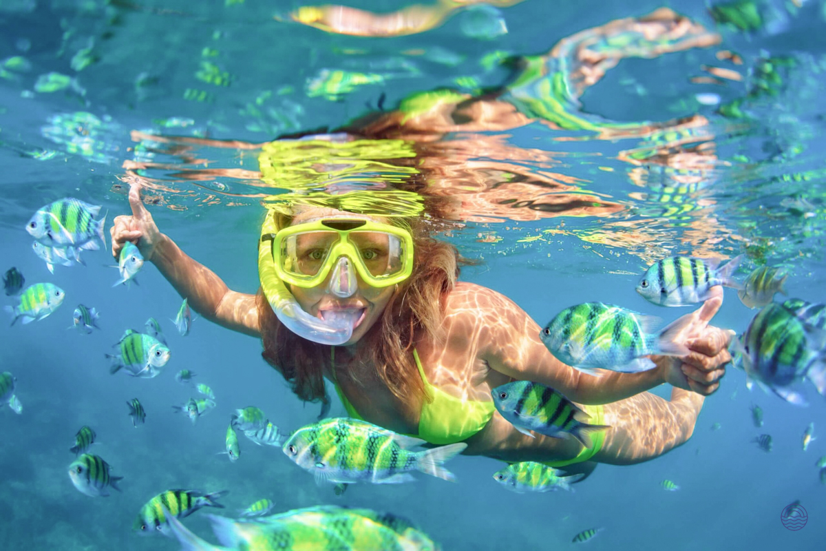 Smiling woman snorkeling with colorful fish in the crystal-clear waters of Koh Phi Phi.