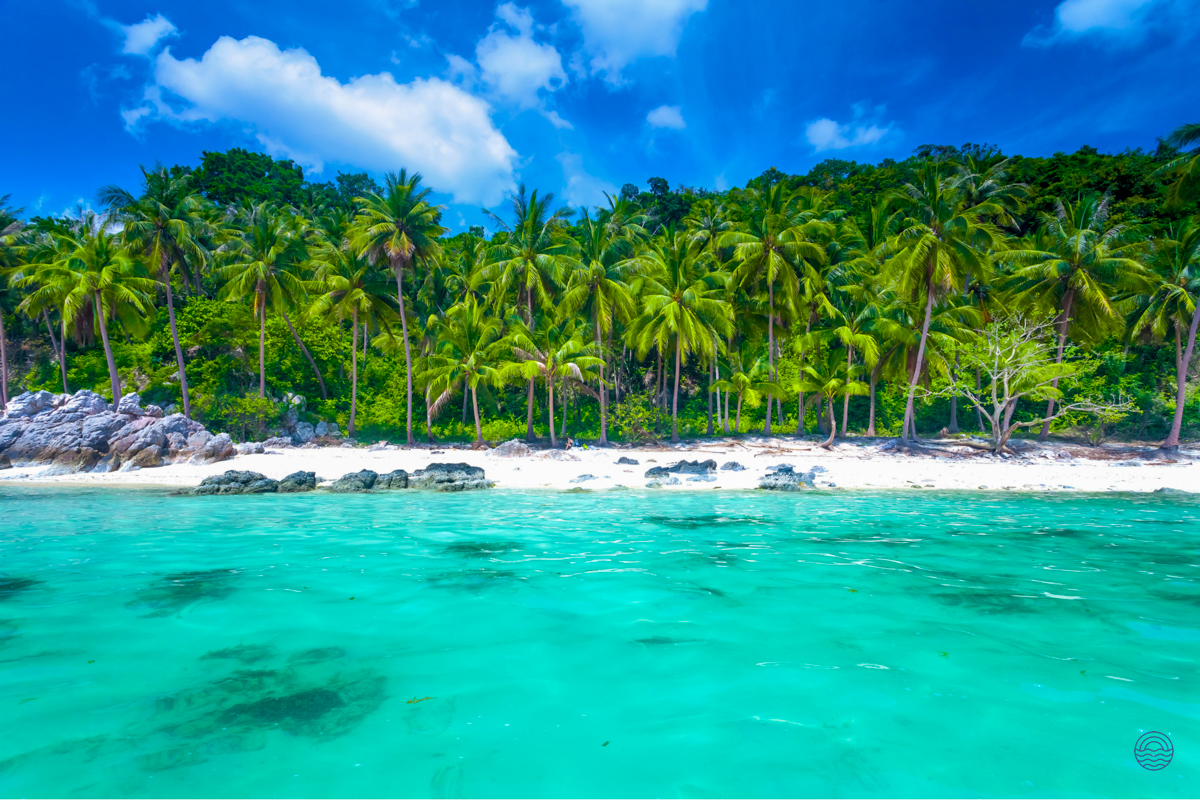Beautiful turquoise waters lap a white sand beach lined with lush palm trees on Koh Samui.