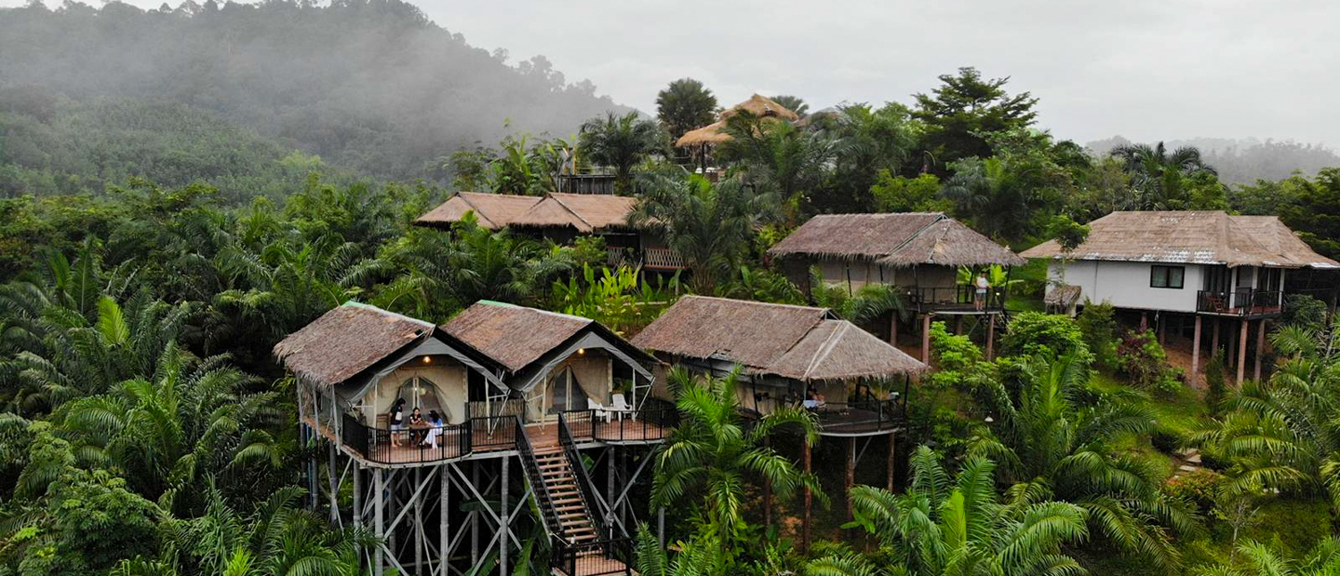 Secluded boutique camps with thatched roofs on stilts surrounded by dense jungle foliage in Khao Sok, Thailand.