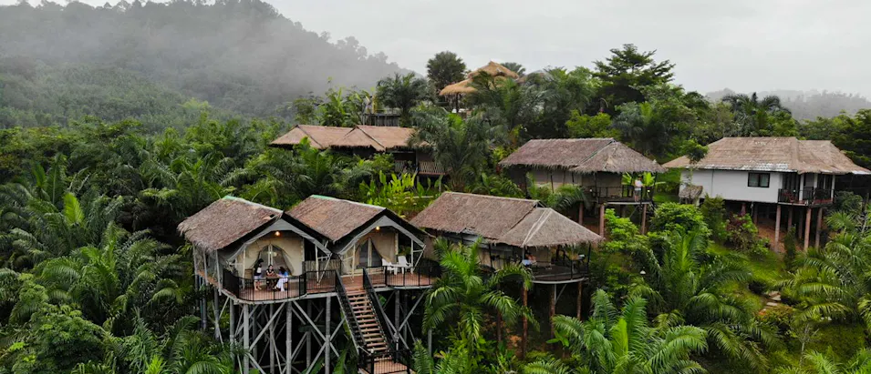 Secluded boutique camps with thatched roofs on stilts surrounded by dense jungle foliage in Khao Sok, Thailand.