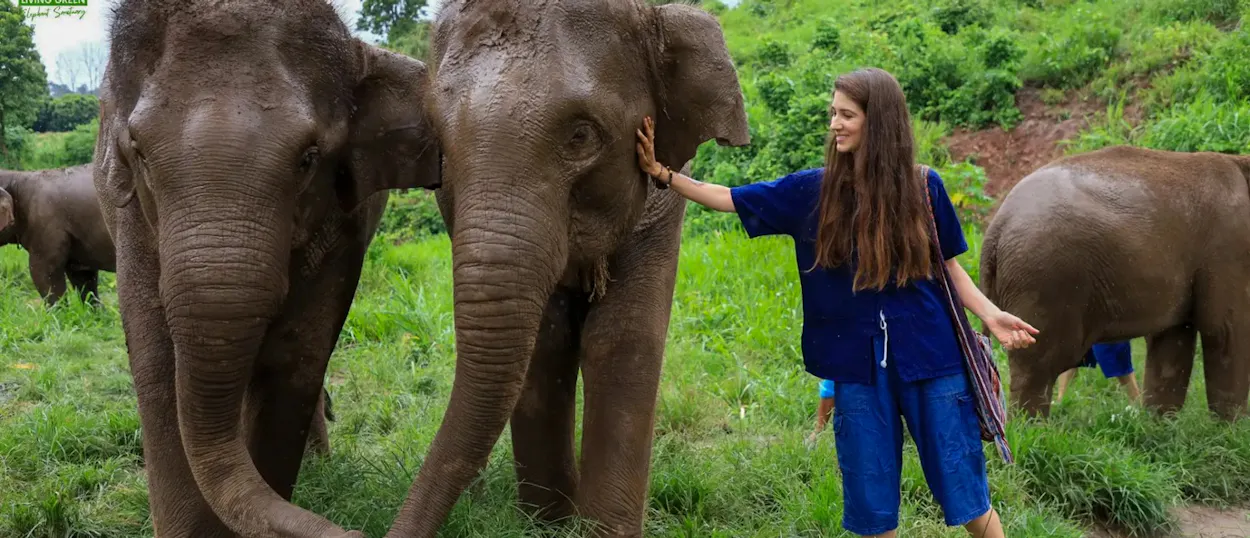 A smiling woman gently touches a muddy elephant's face in a green Chiang Mai sanctuary.