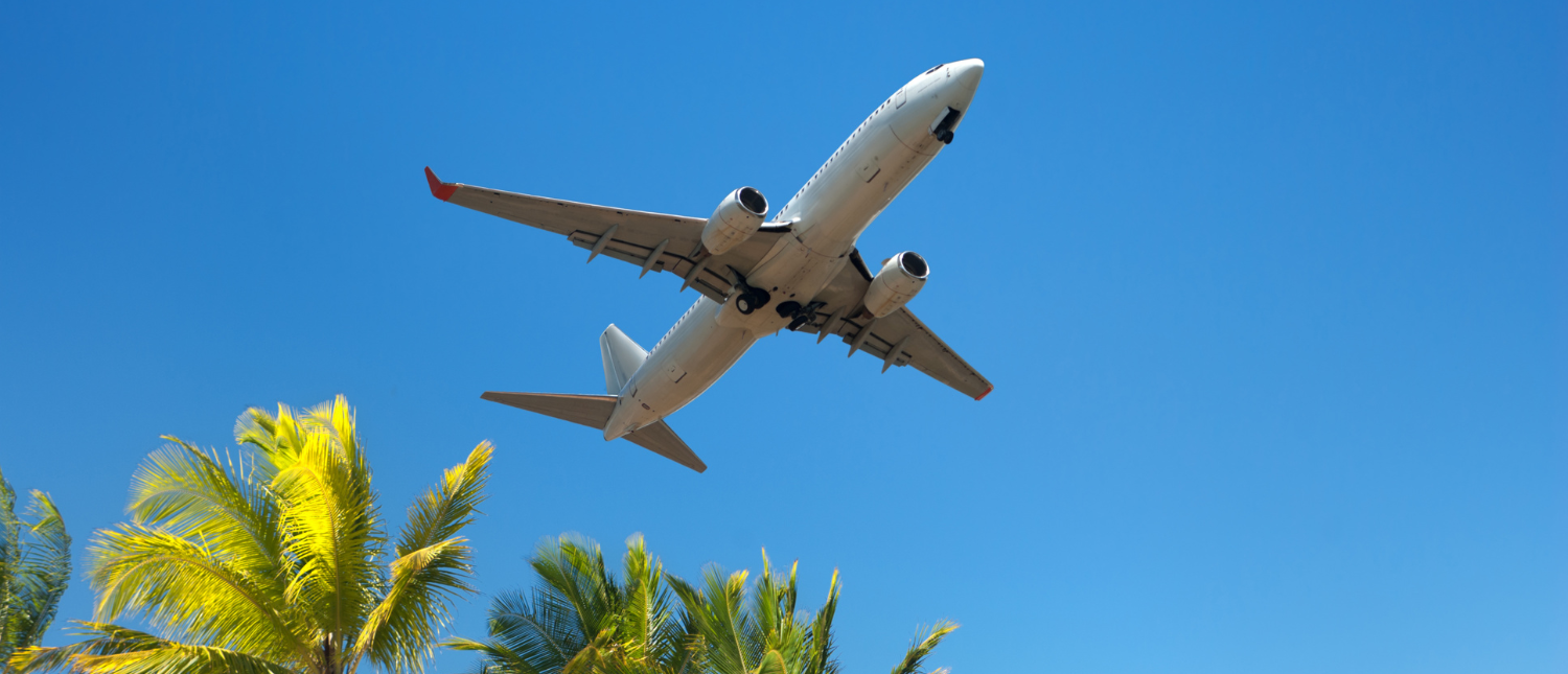 White passenger plane with landing gear down, flying over green palm trees in Colombo.