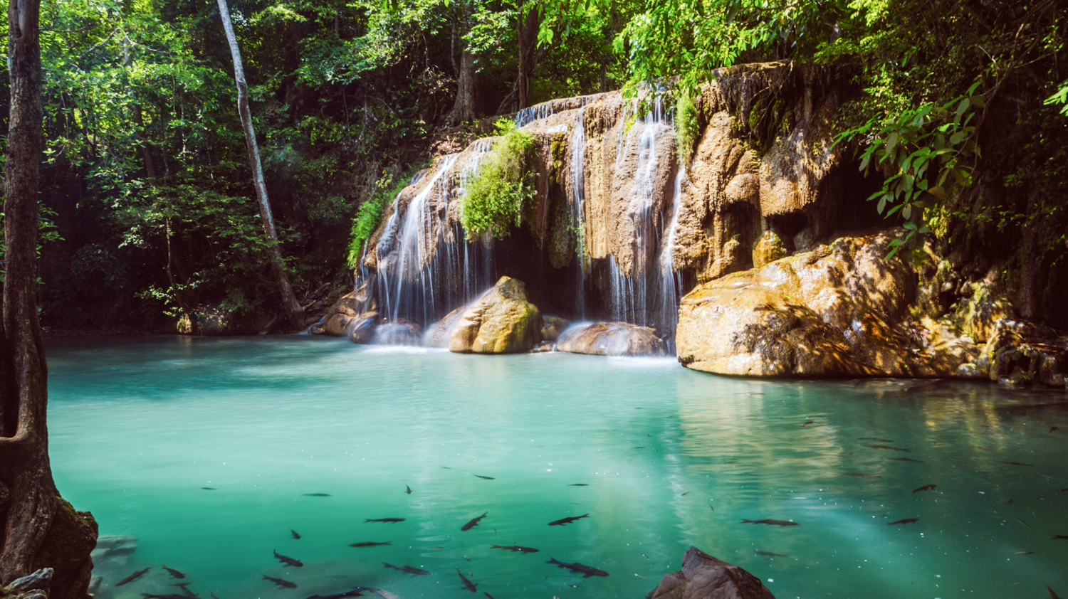 Beautiful Erawan Waterfalls in Thailand, with turquoise water, lush greenery, and fish swimming peacefully.