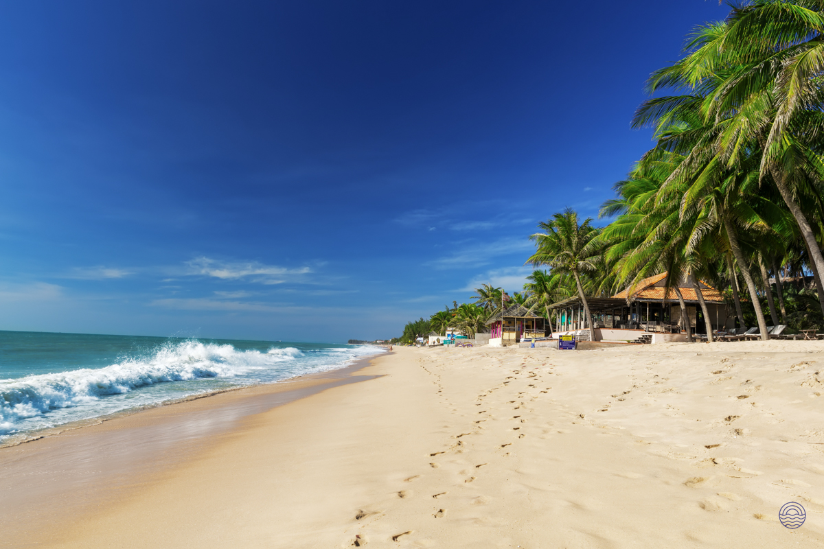 Beautiful An Bang Beach in Hoi An, featuring golden sand, turquoise waves, and tropical palm trees.