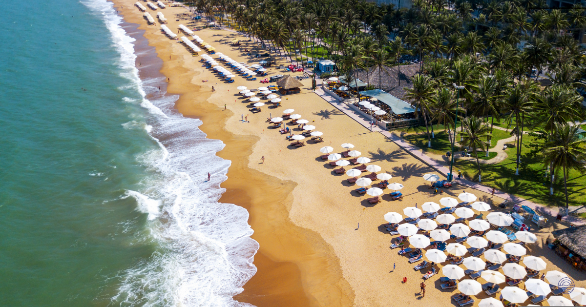 Hoi An's pristine An Bang Beach, with white umbrellas, sun loungers, palm trees, and tranquil waves.