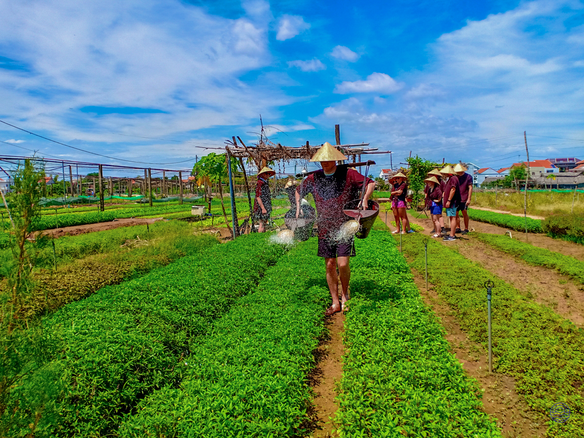 Travelers in conical hats water plants during a traditional farming lesson in Hoi An.