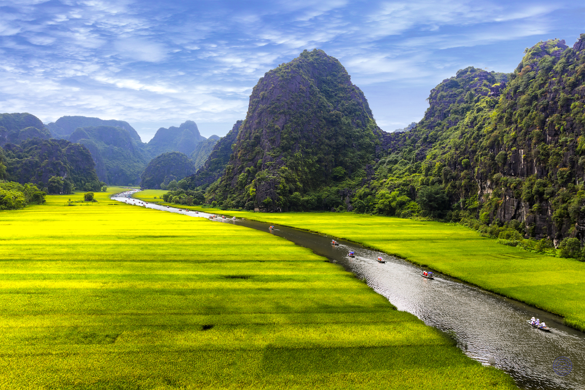 Boats on a river winding through brilliant green rice fields and dramatic karst mountains in Tam Coc.