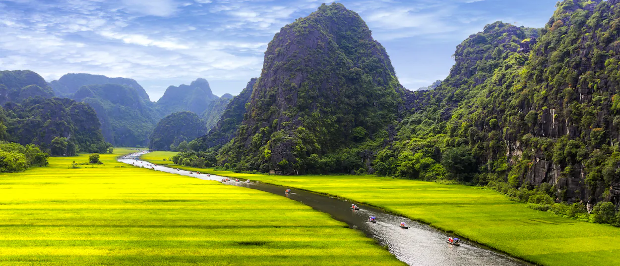 Boats navigate a tranquil river through vibrant green rice paddies and towering mountains in Tam Coc.